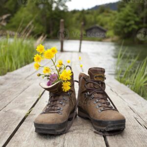 Chaussures de rando